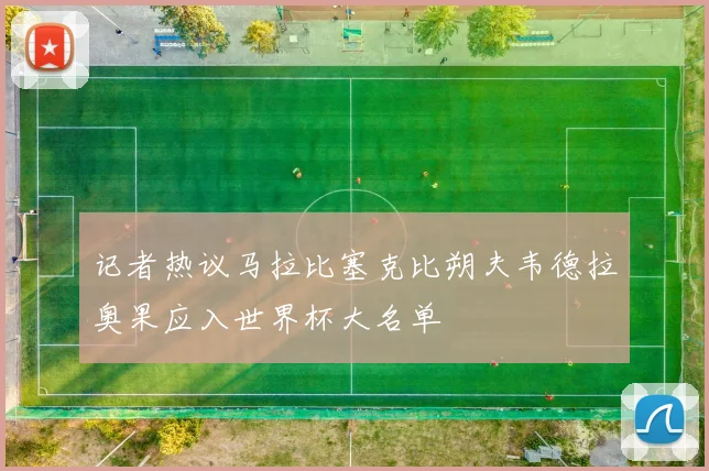 记者热议马拉比塞克比朔夫韦德拉奥果应入世界杯大名单