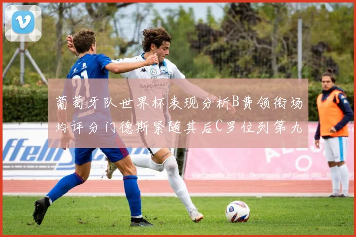 葡萄牙队世界杯表现分析B费领衔场均评分门德斯紧随其后C罗位列第九